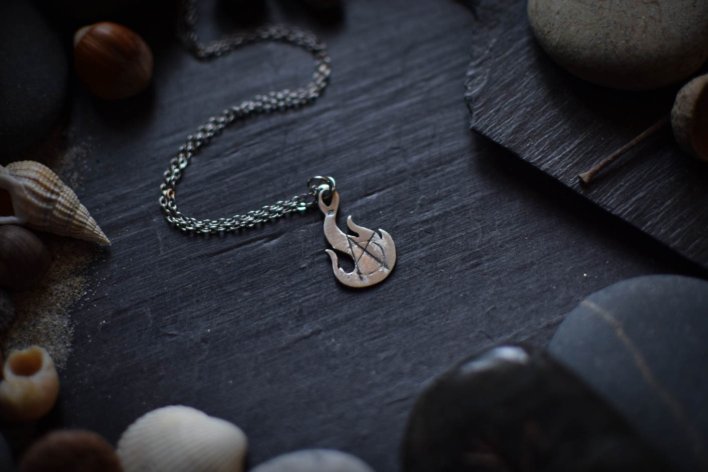 Précommande ~La Flamme de la Révolte~ ARGENT – Image 6