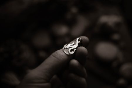 Précommande ~La Flamme de la Révolte~ BRONZE
